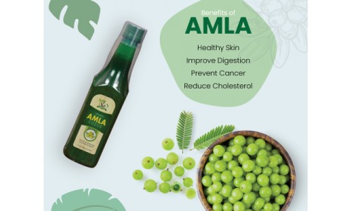 Aayulife Organic Amla Juice