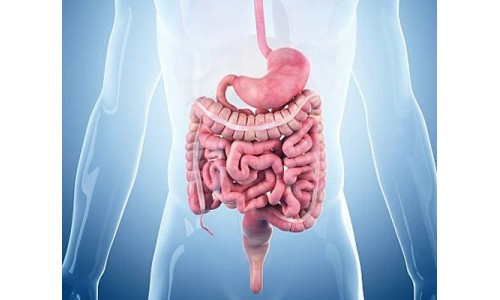 6 stages of your Digestive System suggested by Ayurveda!